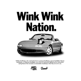 Wink Wink Nation Poster